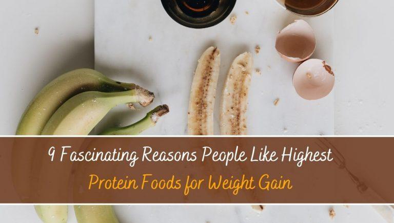 9 Fascinating Reasons People Like Highest Protein Foods for Weight Gain